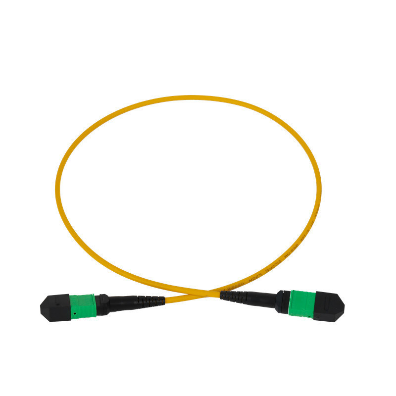 12F MPO Patch Cord 3mm LSZH Out Jacket PVC OFNR Outdoor For Network