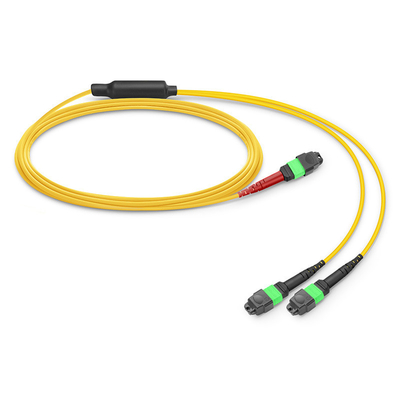 24 Kerne Mtp Patch Kabel Mpo Fiber Patch Kabel SM OS2 mit LSZH Out Jacket