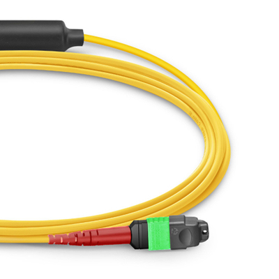 24 Kerne Mtp Patch Kabel Mpo Fiber Patch Kabel SM OS2 mit LSZH Out Jacket