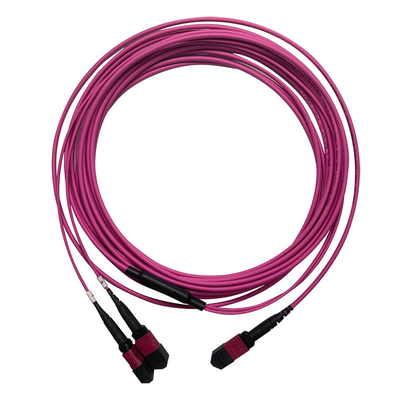 50/125 OM4 MM MPO Patch Cord 24F 3,0 mm PVC Hochdichte Multimode