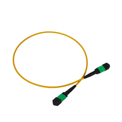 12F MPO Patch Cord 3mm LSZH Außenjacke PVC OFNR Außen für Netzwerk