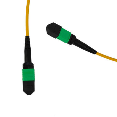 12F MPO Patch Cord 3mm LSZH Außenjacke PVC OFNR Außen für Netzwerk